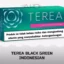 IQOS TEREA BLACK GREEN INDONESIAN