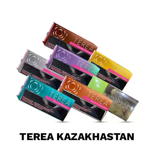 Terea kazakhastan in Oman